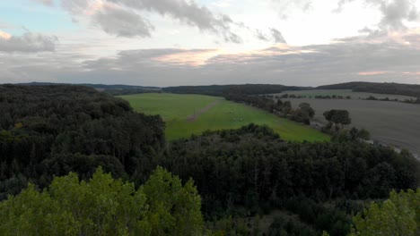 drone-aerial-close-flight-over-treetops-with-wide-view-over-fields