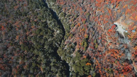 Aerial-view-of-Radal-7-Tazas-three-color-vegetation-in-autumn-season-in-Chile