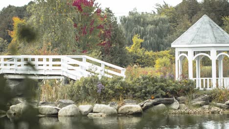 Beautiful-outdoor-bridge-across-a-pond-to-a-island-and-a-white-pergola-wedding-venue-during-the-fall-at-Orchard-View-Wedding-and-Event-Centre
