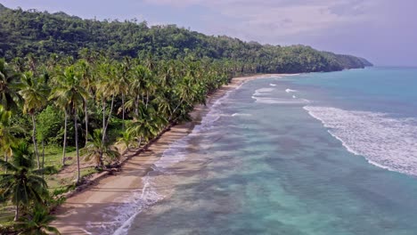 Playa-Tropical-Caribeña-Perfecta-Con-Palmeras-Y-Océano-Turquesa