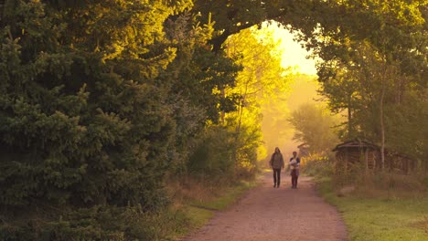 Couple-of-Unrecognizable-People-Walk-on-Dirt-Road-in-Morning-Golden-Hour