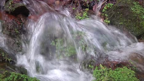 Closeup-of-fast-flowing-water-in-small-woodland-stream