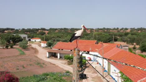 Luftaufnahmen-Des-Dorfes-Santa-Susana,-Alentejo,-Portugal-6
