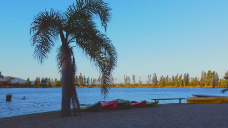 Palm-tree-enjoys-the-cool-wind-of-the-sunset-next-to-kayak