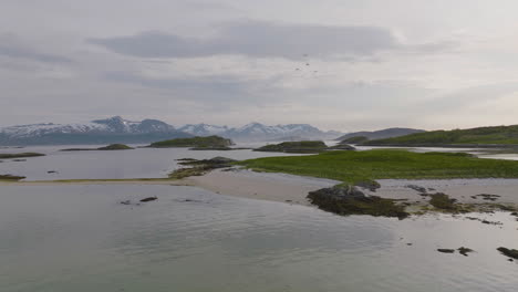Friedliche-Luftaufnahme-Der-Grünen-Insel,-Möwen-Nisten-Im-Norden-Norwegens