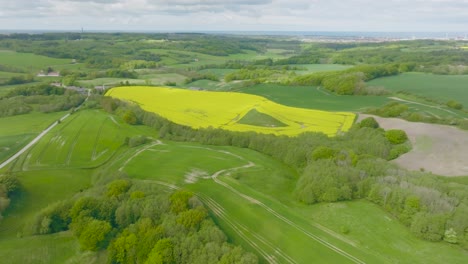 Aerial-view,-in-the-middle-of-a-green-field-is-a-large-field-of-yellow-flowering-oilseed