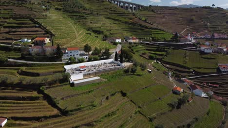Flug-über-Dörfer-In-Einem-Teil-Der-Riesigen-Weinbauindustrie-Für-Portoweine-In-Der-Region-Des-Douro-Tals-Im-Norden-Portugals