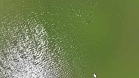 Eine-Luftaufnahme-über-Einen-See-Im-Flushing-Meadow-Corona-Park-In-Queens,-New-York-An-Einem-Sonnigen-Tag