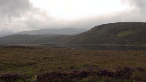 A-Moody-heather-covered-Scottish-Landscape-with-a-Small-Loch