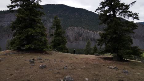 Wanderer-Mit-Blick-Auf-Die-Atemberaubende-Landschaft-Des-Stemwinder-Provincial-Park-In-British-Columbia,-Kanada