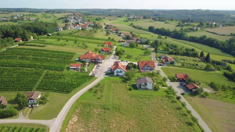 Aerial-panaromic-view-of-houses-settlement,-settlement-near-Moravske-toplice,-Slovenia