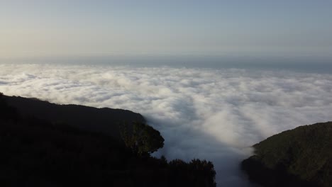 The-most-incredible-sunset-above-the-clouds-in-the-mystical-forest-of-Fanal,-Madeira