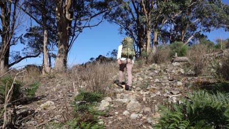 A-man-walks-up-a-bush-track-in-the-mountains-while-wearing-an-army-colored-pack