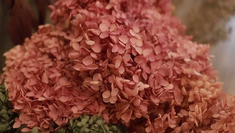 beautiful-set-of-flowers,-video-close-up-shot