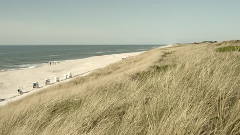 Weitwinkelaufnahme-Des-Strandes-Und-Der-Dünen-Von-Sylt-Mit-Der-Nordsee-Im-Hintergrund-4k-60fps