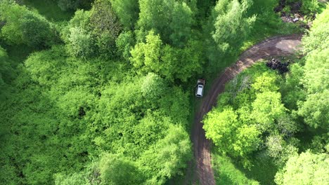 Race-Car-Crashes-in-Trees,-Aerial-Top-Down-View