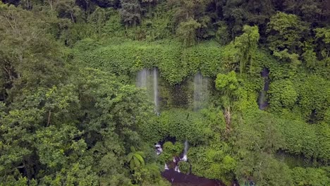 Amazonas-Grüner-Regenwald-Und-Wasserfall