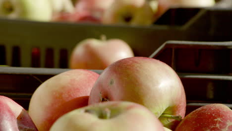 Rack-Fokus-Von-Äpfeln-In-Kisten-An-Einem-Marktstand