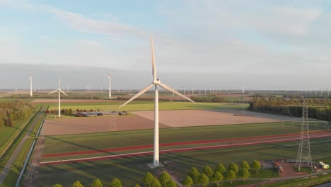 Malerische-Aussicht-Auf-Windkraftanlagen-Auf-Den-Feldern-Von-Flevoland-In-Den-Niederlanden,-Europa