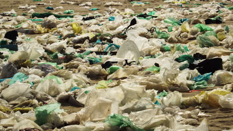 Close-up-of-plastic-bags-scattered-on-Vietnamese-beach,-flying-in-wind