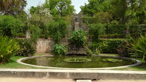 Hermoso-Estanque-En-El-Jardín-Botánico-De-La-Universidad-De-Coimbra
