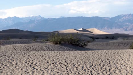 Desert-sand-dunes-with-shrub-vegetation-in-Death-Valley,-California,-Aerial-rising-shot