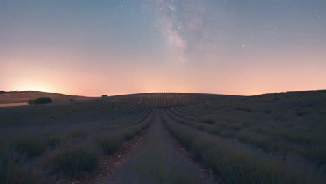 night-timelapse-of-lavender-fields-in-Castilla-La-Mancha,-Spain-with-milky-way-crossing-the-sky-during-all-night