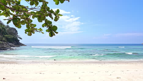 Deserted-tropical-beach-with-a-tree-branch