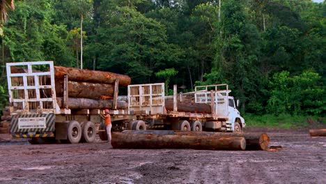 Einer-Der-Großen-Bulldozer-Lädt-Die-Abgeholzten-Bäume-Des-Amazonas-Regenwaldes-An-Einer-Abholzungsstelle-Auf-Einen-LKW