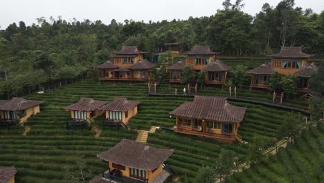 Aerial-drone-shot-over-a-small-hotel-cottage-rooms-surrounded-by-green-tea-planatation-in-Ban-rak-thai,-scenic-chinese-village-in-Thailand-at-daytime