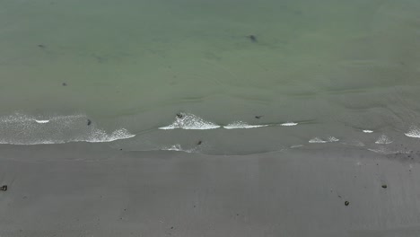 Overhead-aerial-view-of-waves-slowly-crashing-on-a-sandy-Washington-beach