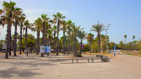 View-Of-Resting-Area-With-Benches-And-Palm-Trees-Near-Pinar-Beach-In-Castellon,-Spain---panning