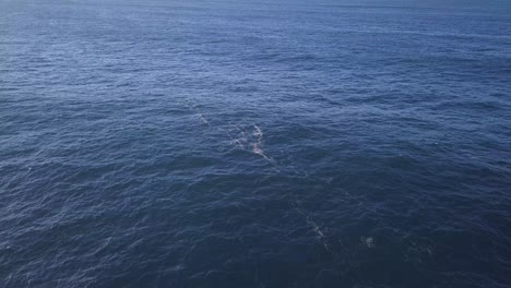 Dunkelblaues-Meerwasser