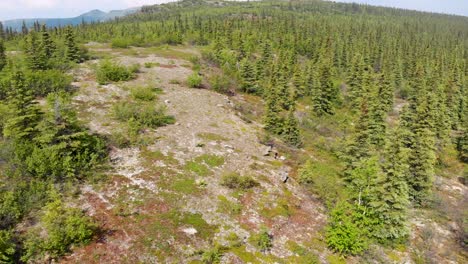 4K-Drohnenvideo-Von-Felsigen-Klippen-Des-Wickersham-Dome-In-Den-White-Mountains-Von-Alaska-An-Einem-Sonnigen-Sommertag
