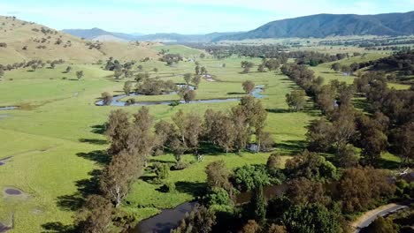 Drohnenansicht-Mit-Blick-Flussaufwärts-über-Die-Flussaue-Des-Mitta-Mitta-River-Am-Pigs-Point-In-Der-Nähe-Von-Tallangatta-South,-Im-Nordosten-Von-Victoria,-Australien