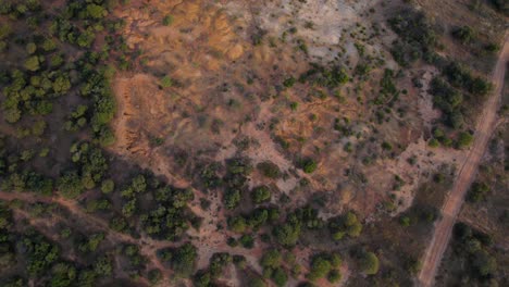 Landschaft-Aus-Busch--Und-Orangensandwüste-Bei-Sonnenuntergang-In-Der-Afrikanischen-Savanne