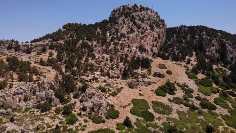 Trees-And-Vegetation-Growing-On-The-Rocky-Cliff-Of-Mountain-At-Summer