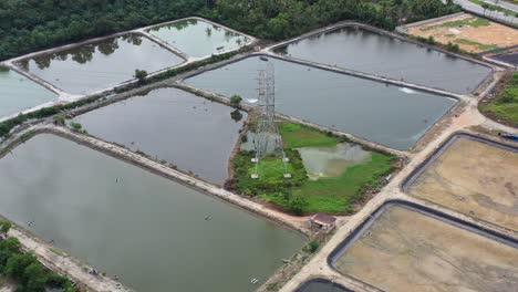 Outdoor-aquaculture-farming-controlled-facility-with-transmission-tower-in-the-center-next-to-residential-neighborhood-in-manjung,-perak,-malaysia,-southeast-Asia,-aerial-fly-around-shot