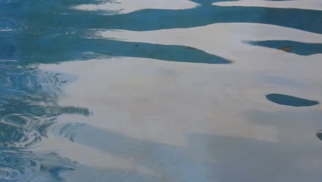 Video-Von-Wellen-Und-Wasserkräuselungen-Im-Teich