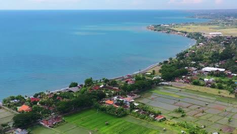 Küstenstrand-Mit-Reisfeldern-In-Der-Nähe-Von-Lovina-Im-Norden-Balis-An-Einem-Sonnigen-Tag,-Luftaufnahme
