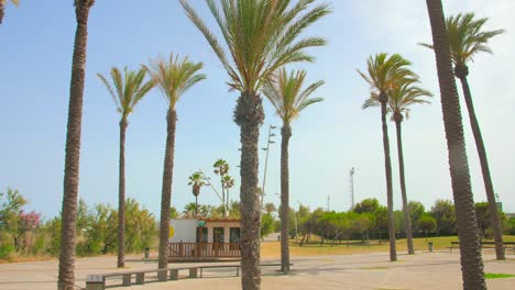 Low-angle-shot-of-palm-trees-park-in-Playa-El-Pinar-beach-in-Grau-beach-area-in-Castellon,-Spain,-4K
