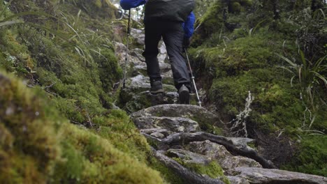 Kippen-Sie-Nach-Oben,-Wanderer-Erklimmt-Nasse-Felsstufen-Im-Mooswald,-Routeburn-Track-Neuseeland