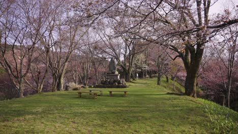 Grüner-Grasbewachsener-Bergpark-Mit-Blühenden-Sakura-Bäumen-In-Yoshino,-Nara