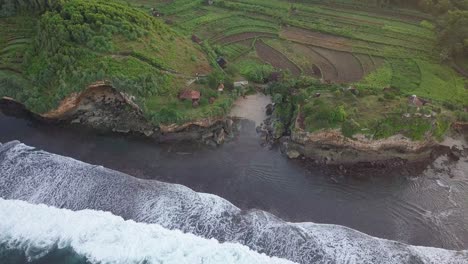 Aerial-top-down-shot-of-waves-reaching-small-private-beach-between-cliffs-and-plantation-fields-in-Indonesia
