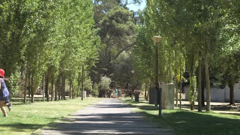 Niña-Cruzando-El-Camino-De-Madera-Sosteniendo-Una-Pelota-En-Sus-Manos-Dentro-De-Un-Parque-Público