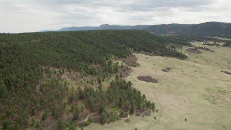 Aerial-flyover-above-ridge-of-evergreen-trees,-Rocky-Mountain-range-in-distance