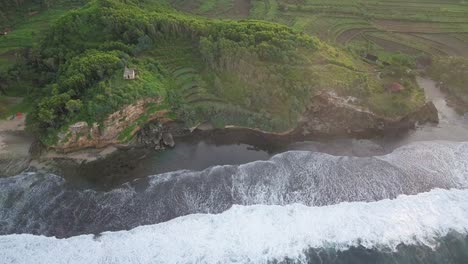 aerial-drone-view-of-cliff-overgrown-by-tress-border-with-the-sea