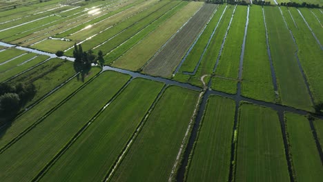 Drone-view-over-verdant-and-fertile-polder-landscape,-Krimpenerwaard