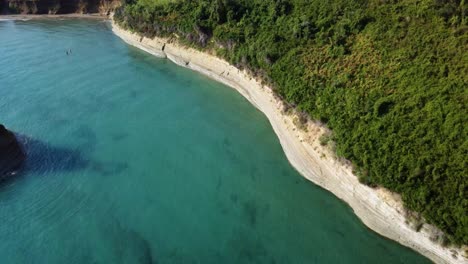 Luftaufnahme-Der-Küste-Der-Insel-Korfu-Mit-Grünen-Bäumen,-Natürlicher,-Unverschmutzter-Vegetation-Und-Klarem,-Unberührtem-Mittelmeerwasser
