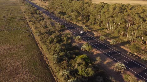 Aerial-tracking-shot-of-grey-car-driving-on-rural-road-beside-wetland-in-Uruguay-at-golden-sunset-in-autumn